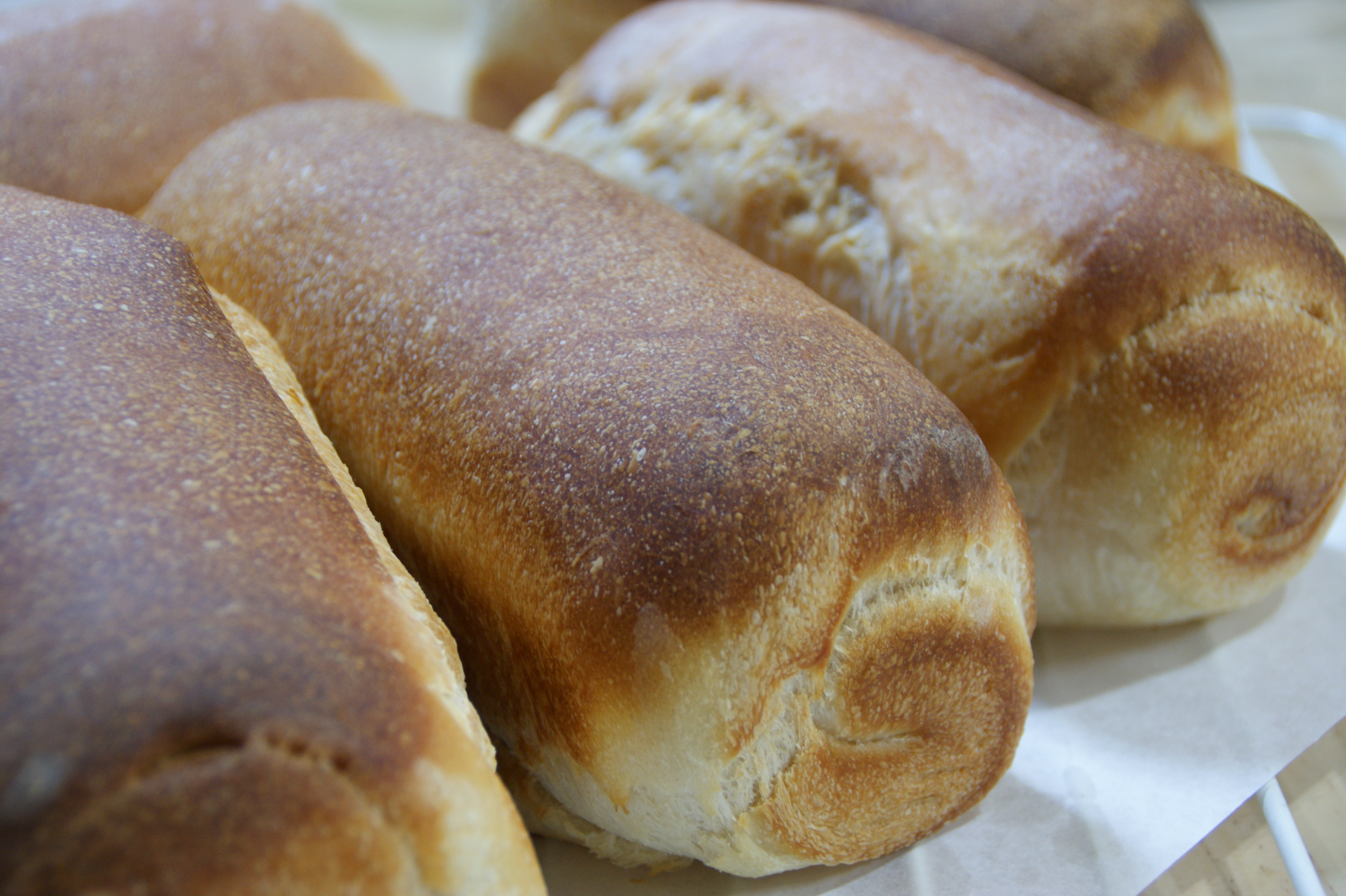 天然酵母食パン